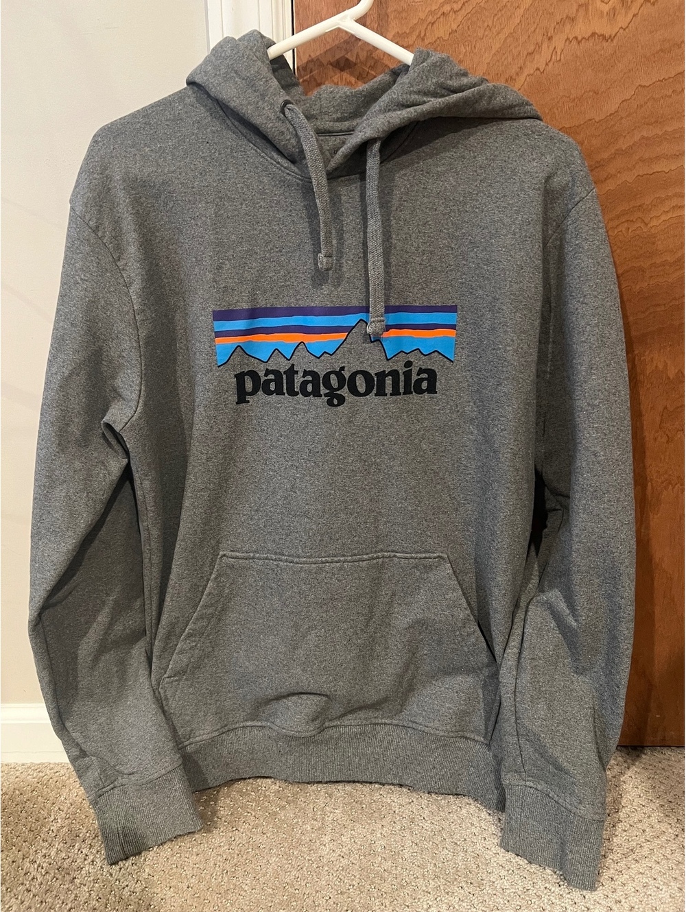 Patagonia Hoodie